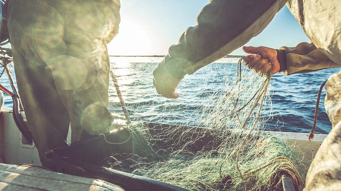 Workers holding fishing net on boat