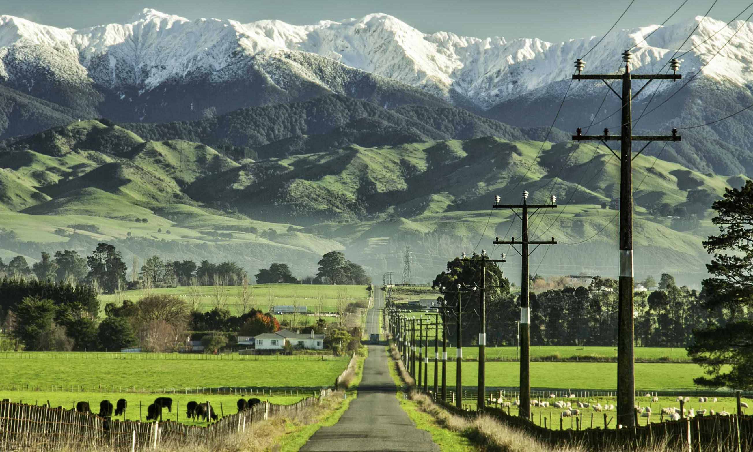 Farm road to Southern Alps